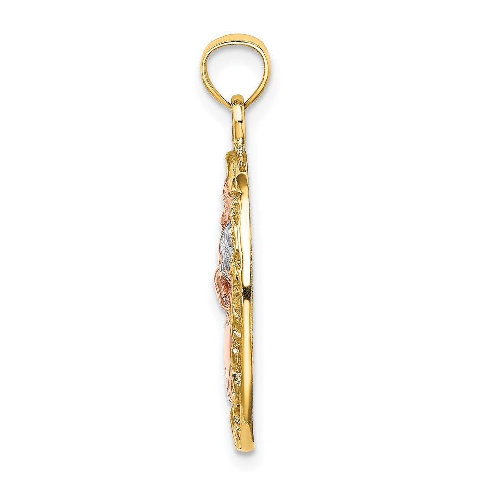 14k Two-tone WIth White Rhodium Mother and In Oval Frame Charm