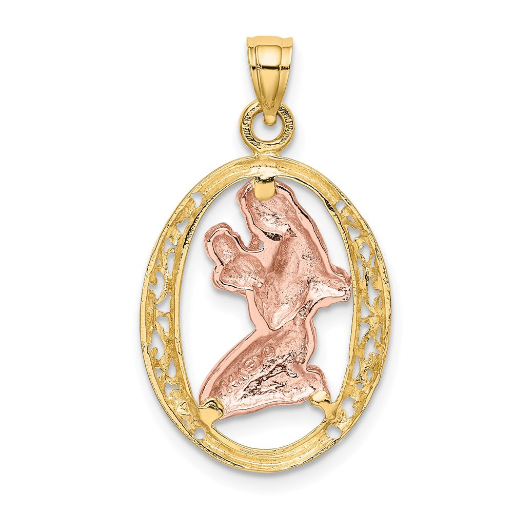 14k Two-tone WIth White Rhodium Mother and In Oval Frame Charm