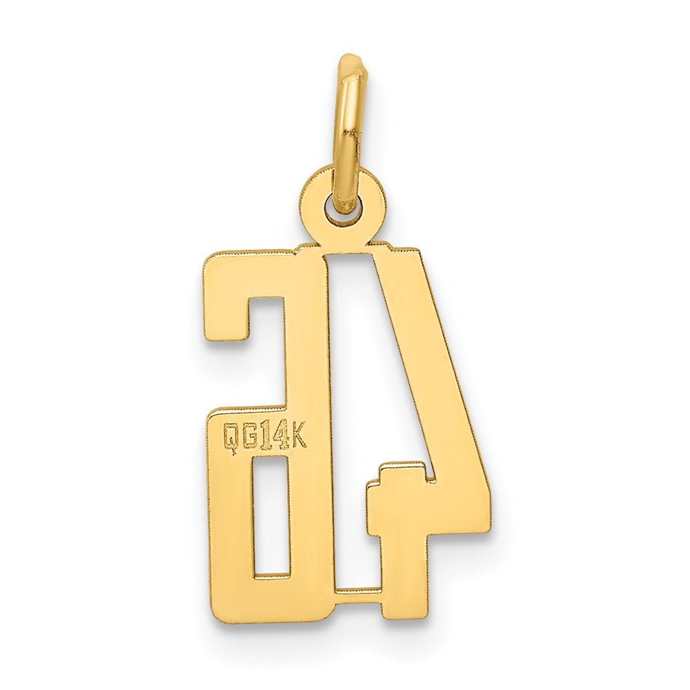 14k Small Elongated Number 46 Charm