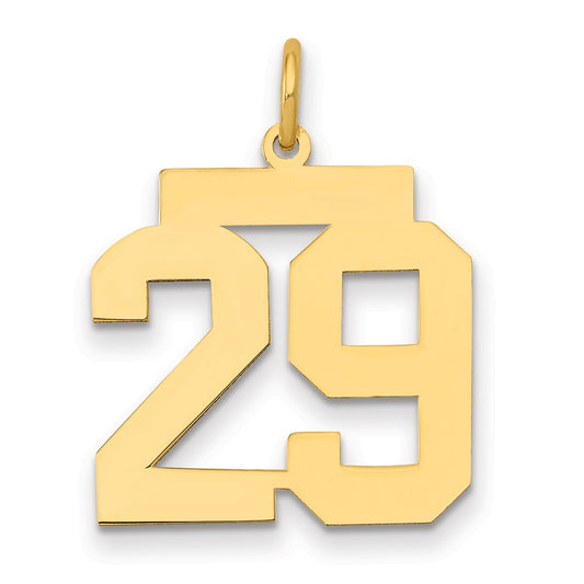 14k Medium Polished Number 29 Charm