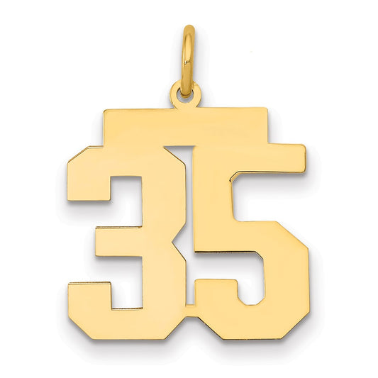 14k Medium Polished Number 35 Charm