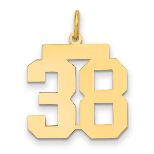 14k Medium Polished Number 38 Charm