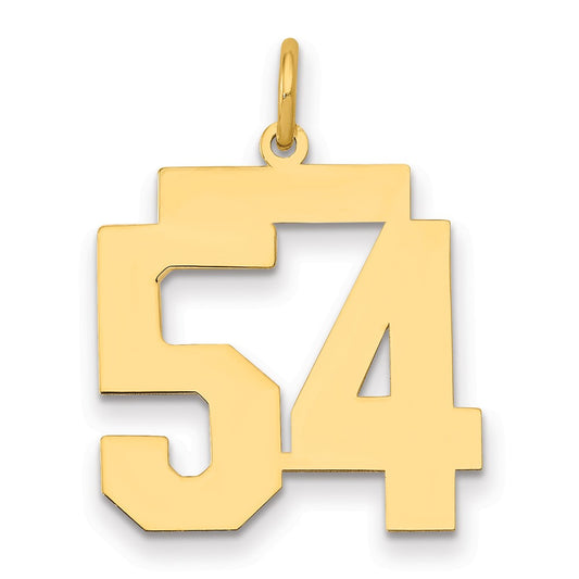 14k Medium Polished Number 54 Charm