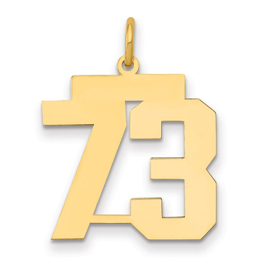 14k Medium Polished Number 73 Charm