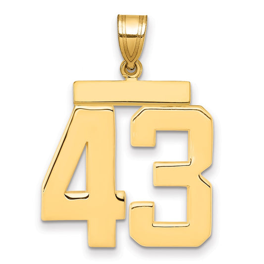 14k Large Polished Number 43 Charm