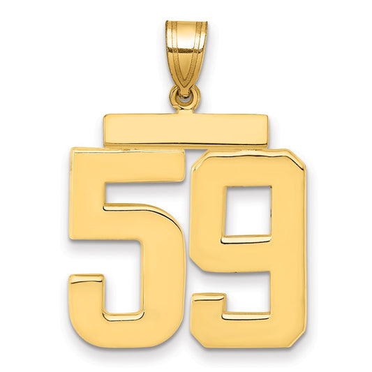 14k Large Polished Number 59 Charm
