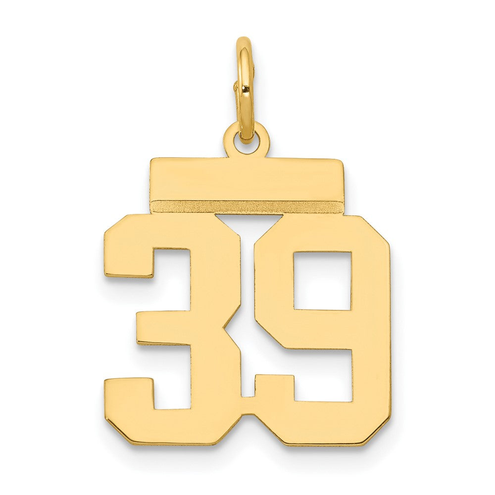 14k Small Polished Number 39 Charm