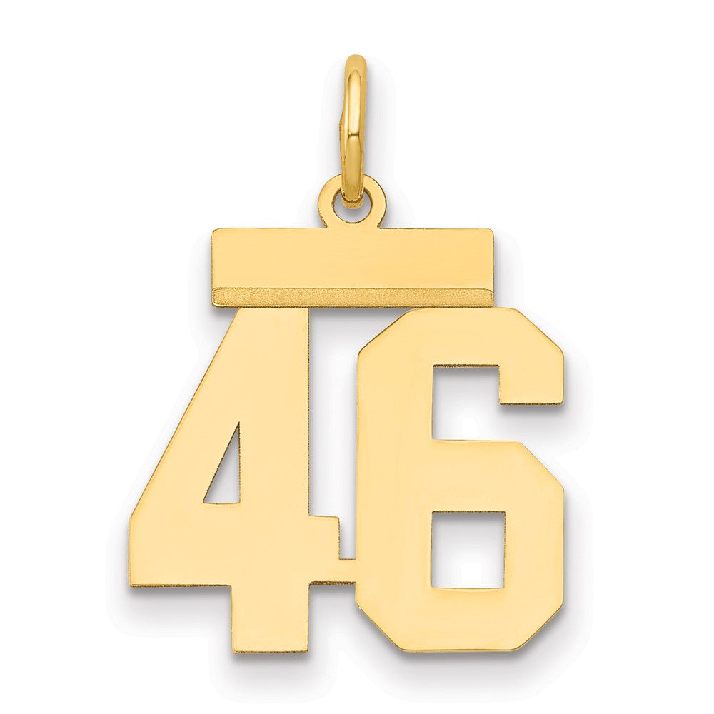 14k Small Polished Number 46 Charm