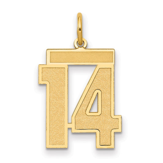 14k Medium Satin Number 14 Charm