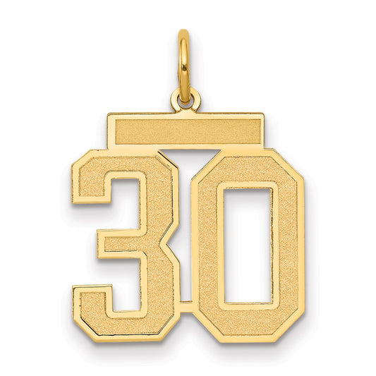 14k Medium Satin Number 30 Charm