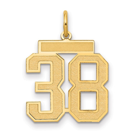14k Medium Satin Number 38 Charm