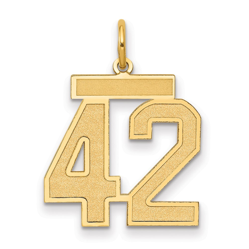 14k Medium Satin Number 42 Charm