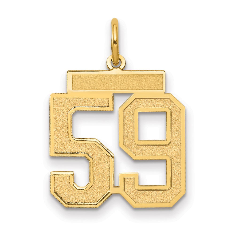 14k Medium Satin Number 59 Charm