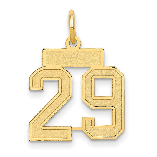 10ky Small Satin Number 29 Charm