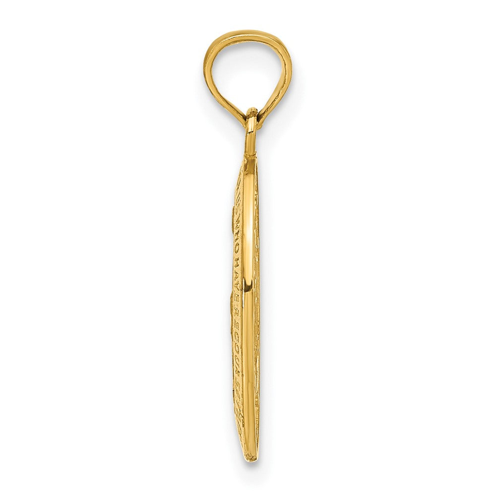 14k Virgin Mary Medal Pendant