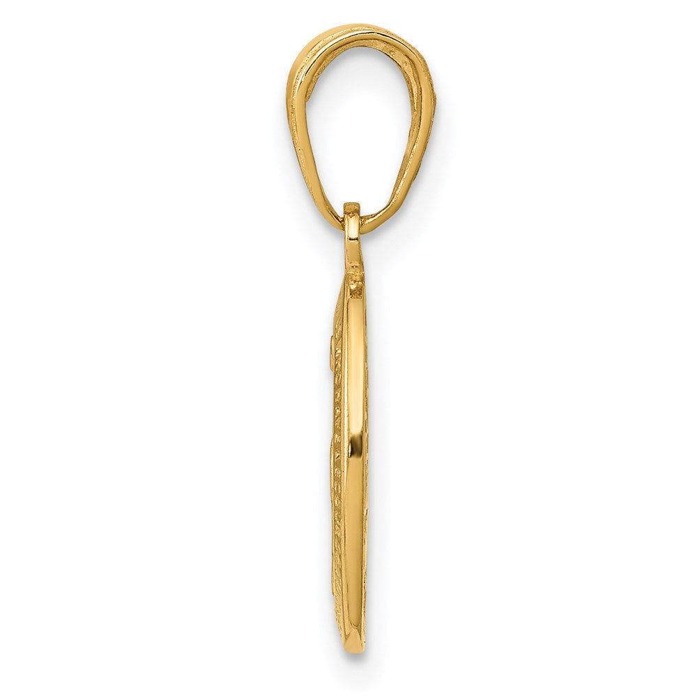 14k Virgin Mary Medal Charm