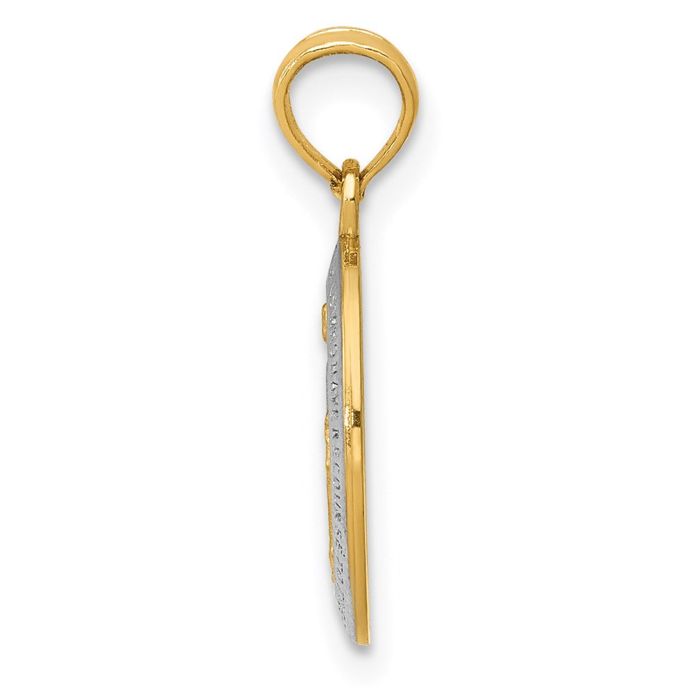 14k w/Rhodium Virgin Mary Medal Charm