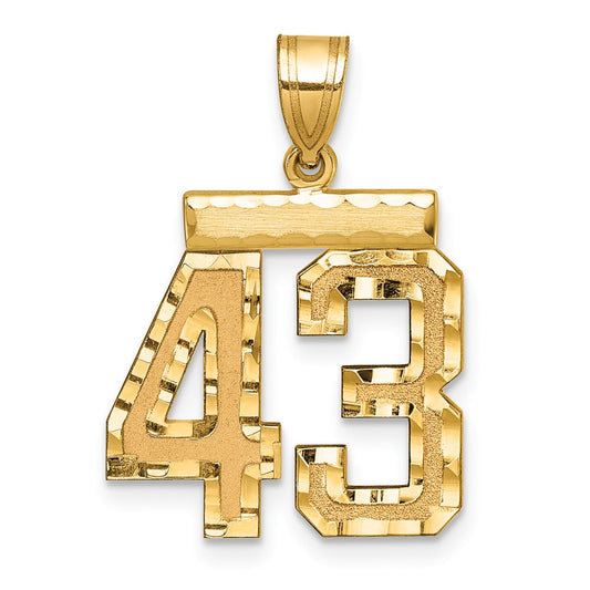 14k Medium Diamond-cut Number 43 Charm