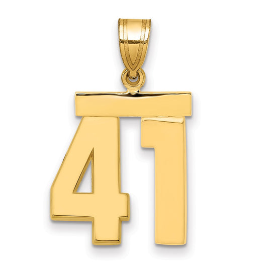14k Medium Polished Number 41 Charm
