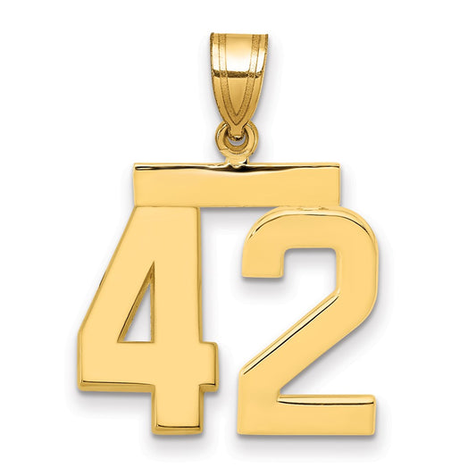 14k Medium Polished Number 42 Charm
