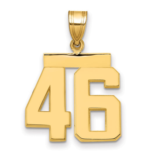 14k Medium Polished Number 46 Charm