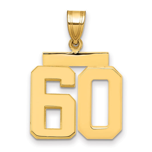 14k Medium Polished Number 60 Charm