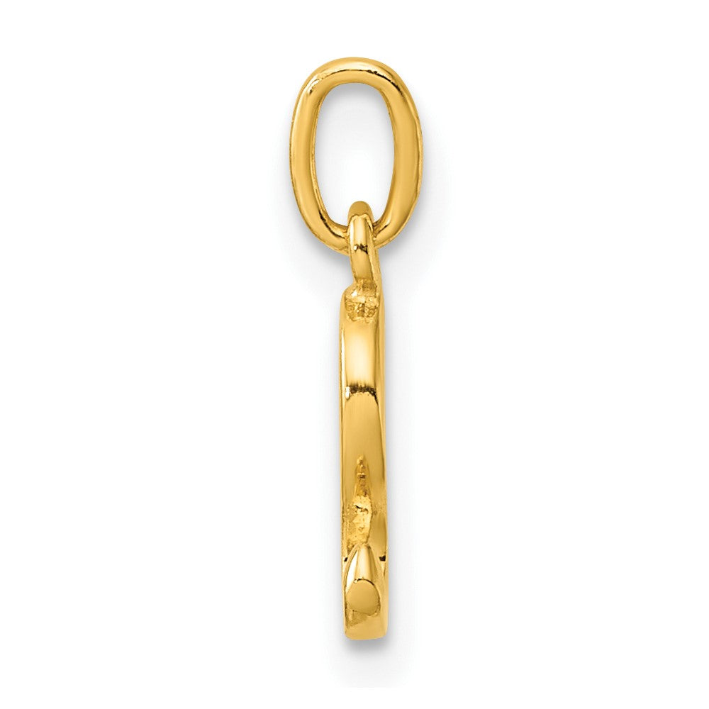 Sterling Silver Gold-tone Polished Letter S Initial Charm