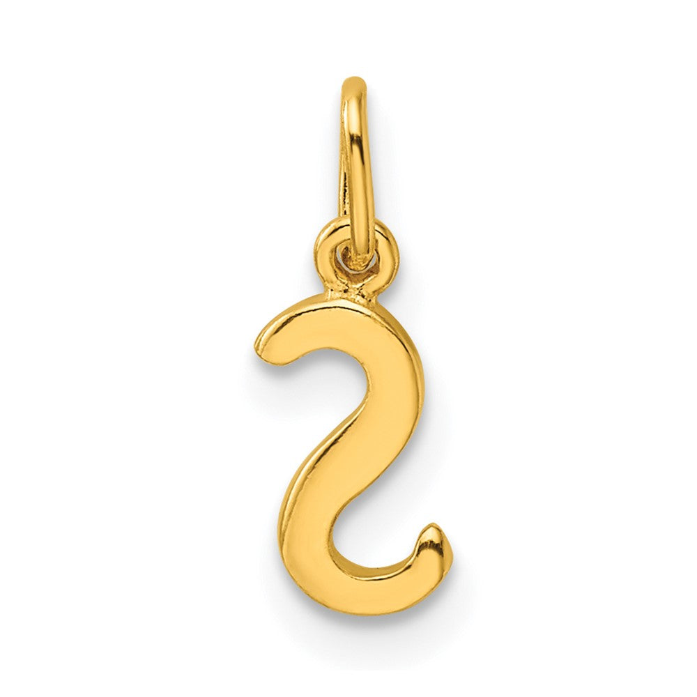 Sterling Silver Gold-tone Polished Letter S Initial Charm