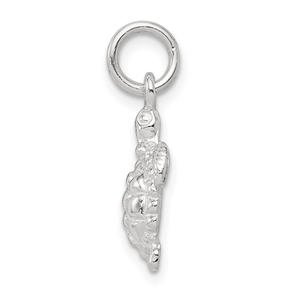Sterling Silver Turtle Charm
