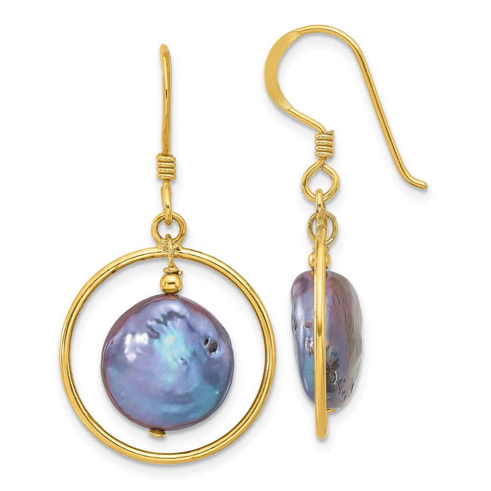 Sterling Silver Gold-plated Polished Black FWC Coin Pearl Dangle Earrings