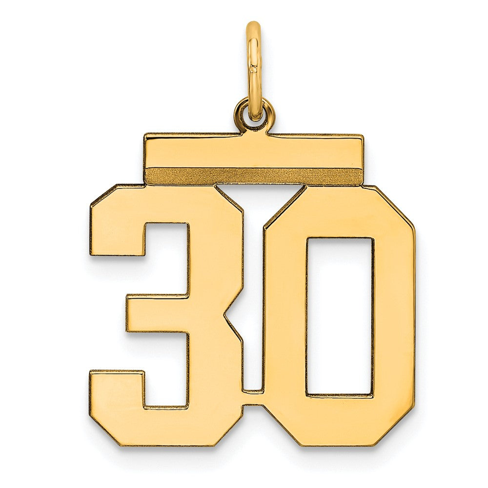 Sterling Silver Gold-plated Medium Polished Number 30 Charm