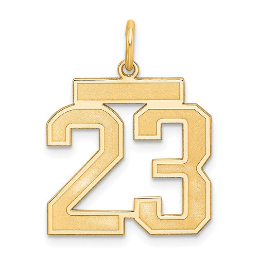 Sterling Silver/Gold-plated Satin Number 23 Charm