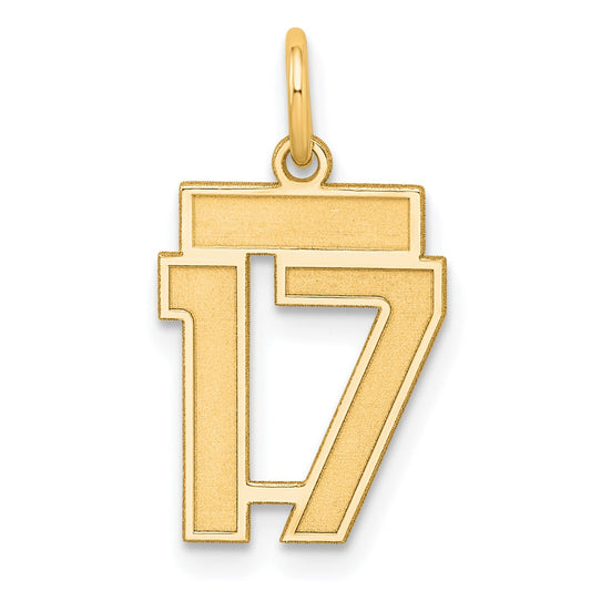 Sterling Silver/Gold-plated Satin Number 17 Charm