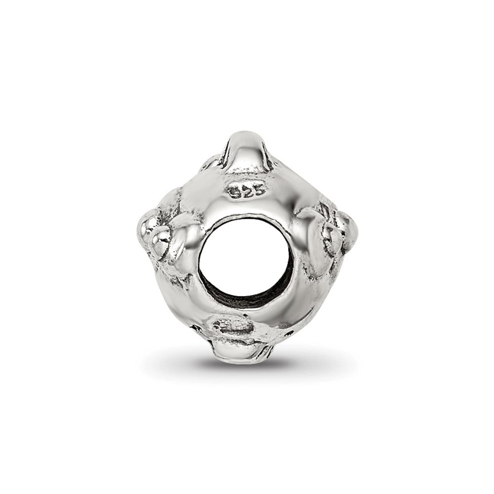 Sterling Silver Reflections Fish Bead