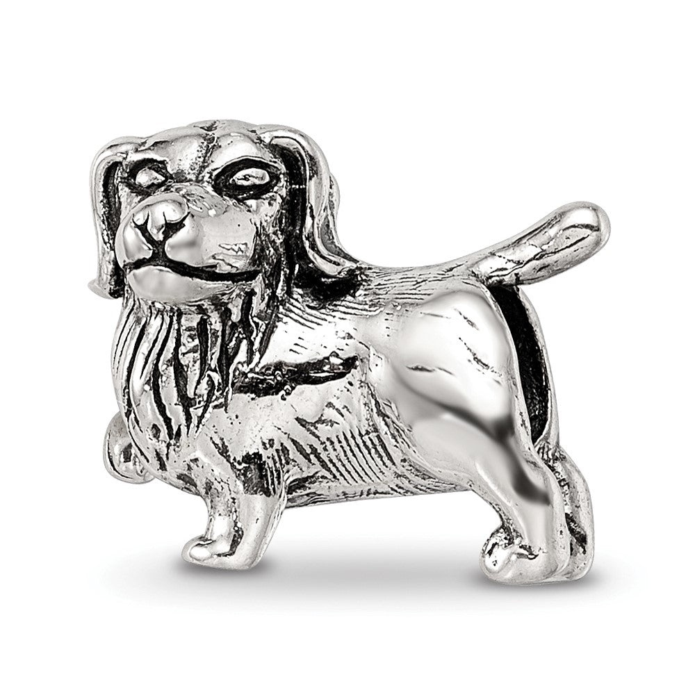 Sterling Silver Reflections Golden Retriever Bead