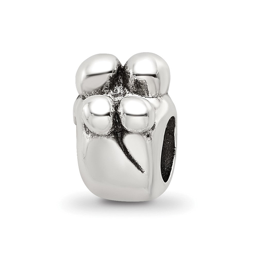 Sterling Silver Reflections Family of 4 Bead