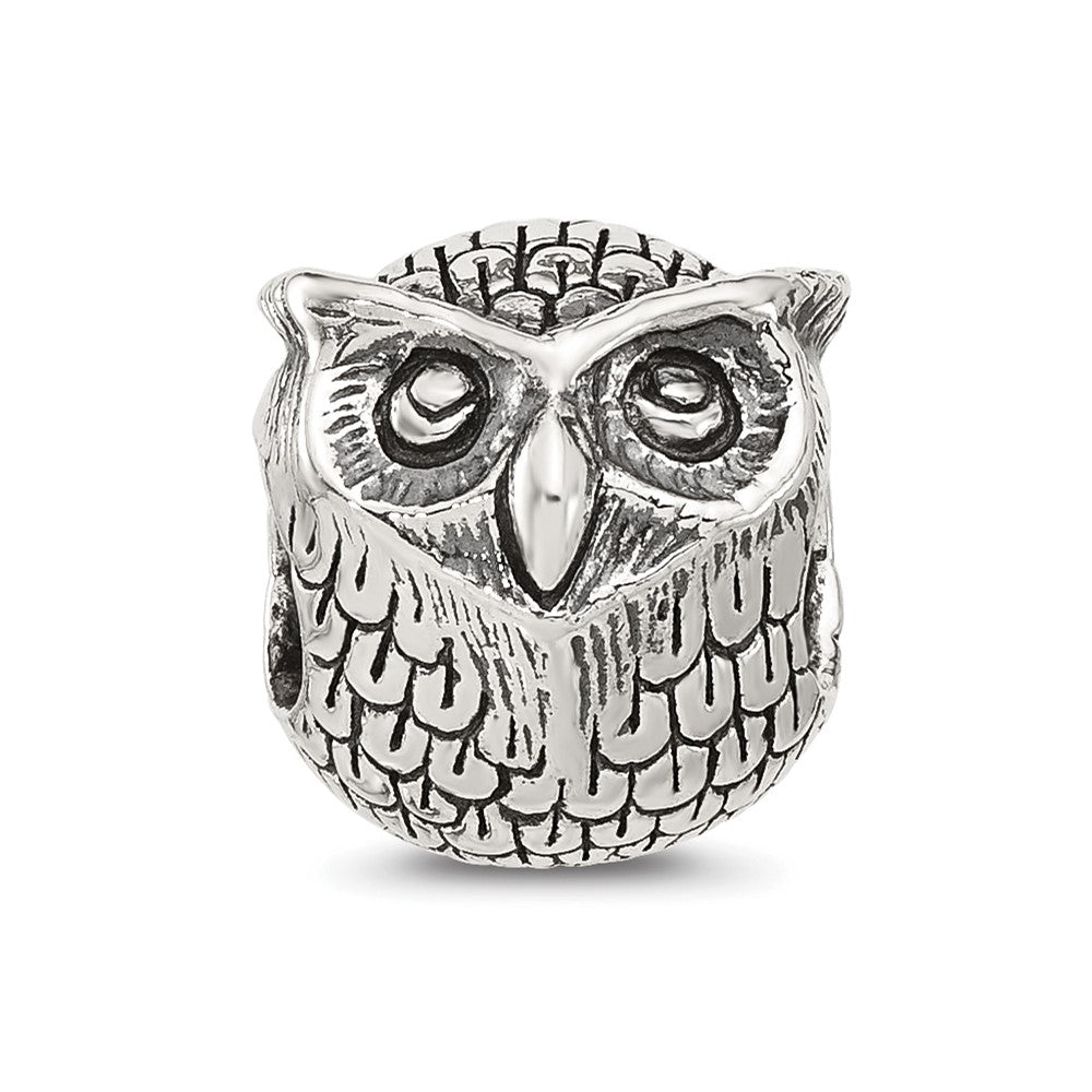 Sterling Silver Reflections Antiqued Owl Bead