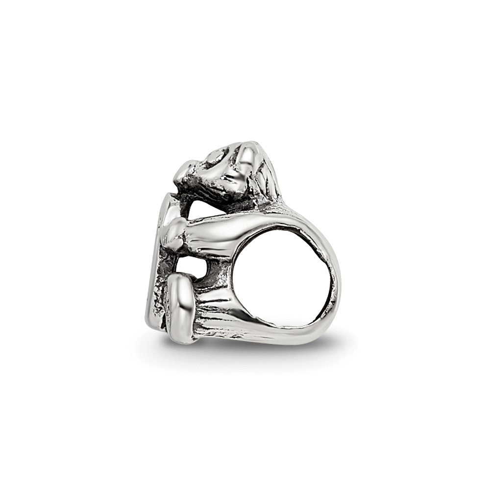Sterling Silver Reflections Letter D Bead