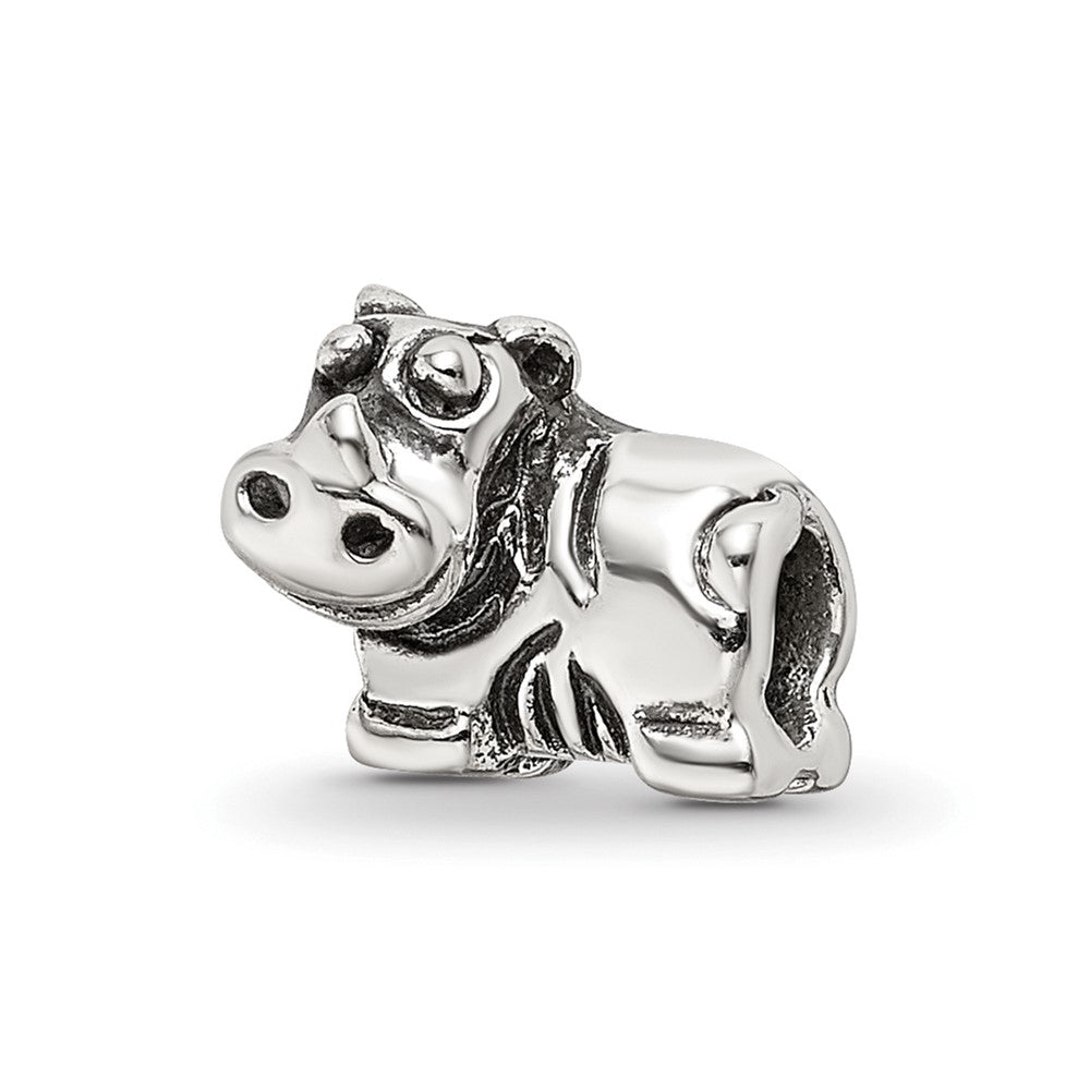 Sterling Silver Reflections Rhino Bead