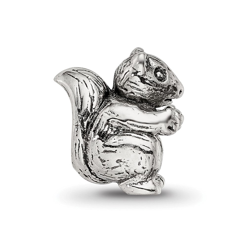 Sterling Silver Reflections Squirrel Bead