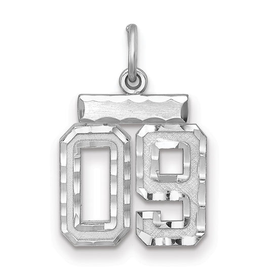 Sterling Silver Rhodium-plated Small Diamond-cut #09 Charm