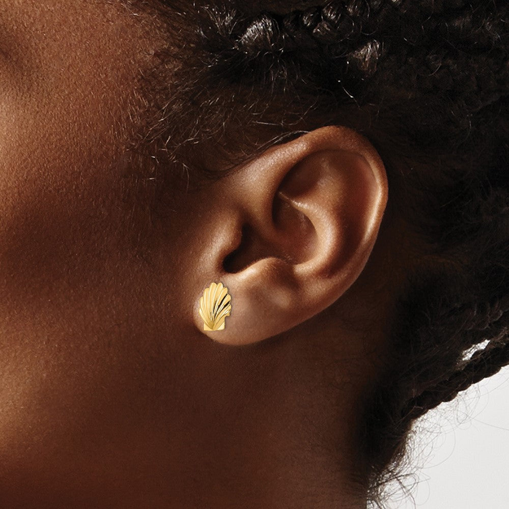 14k Yellow Gold Madi K Shell Post Earrings