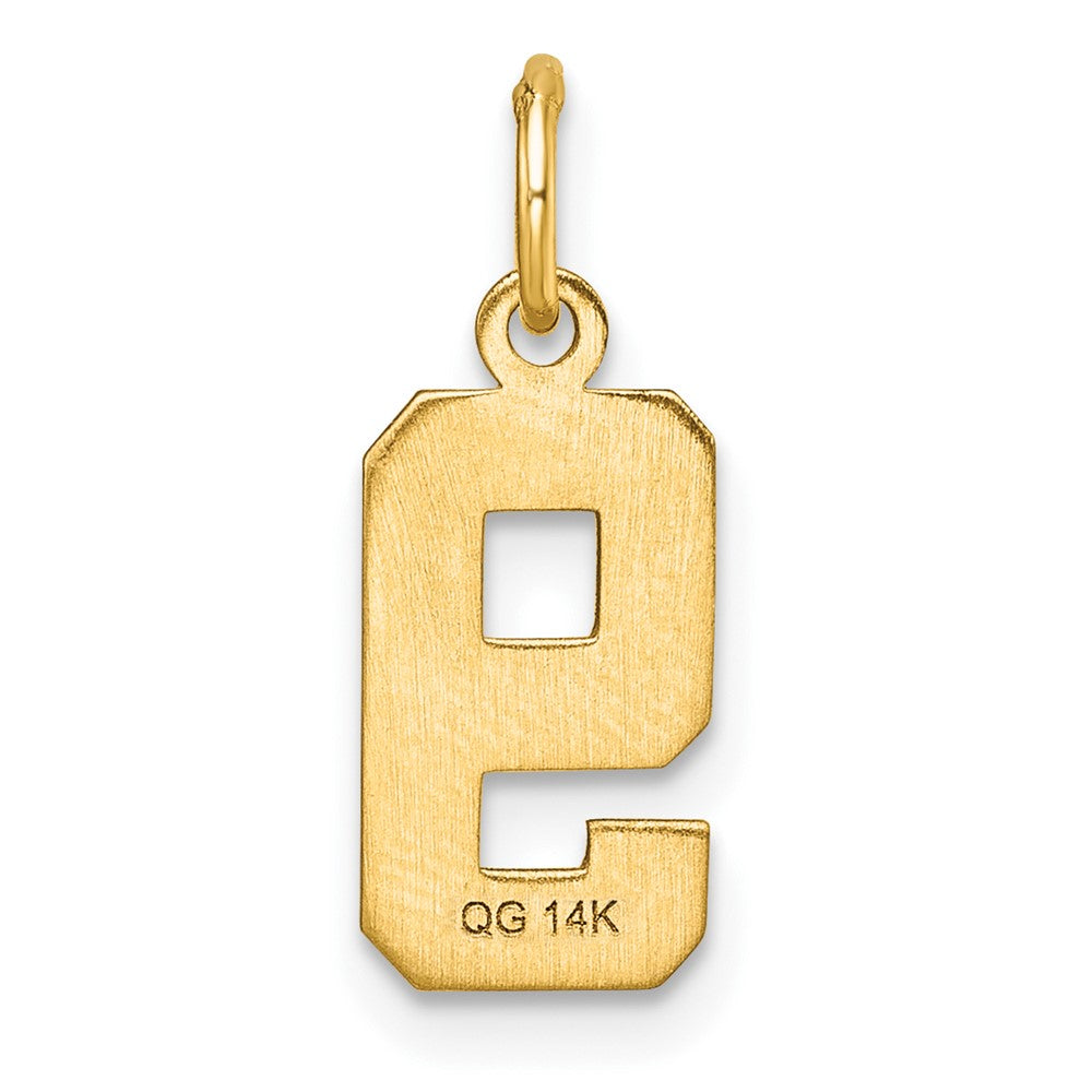14k Yellow Gold Small Brushed Diamond-cut Number 9 Charm