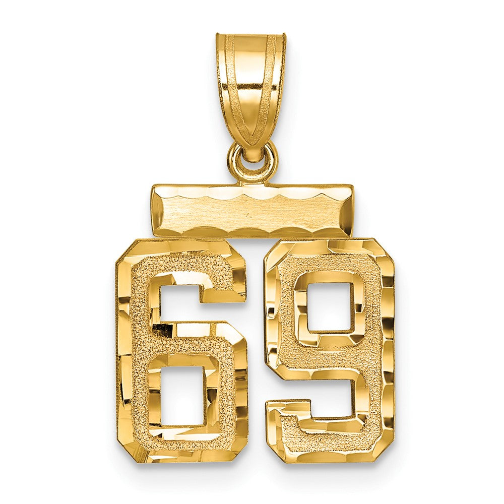 14k Yellow Gold Small Brushed Diamond-cut Number 69 Charm