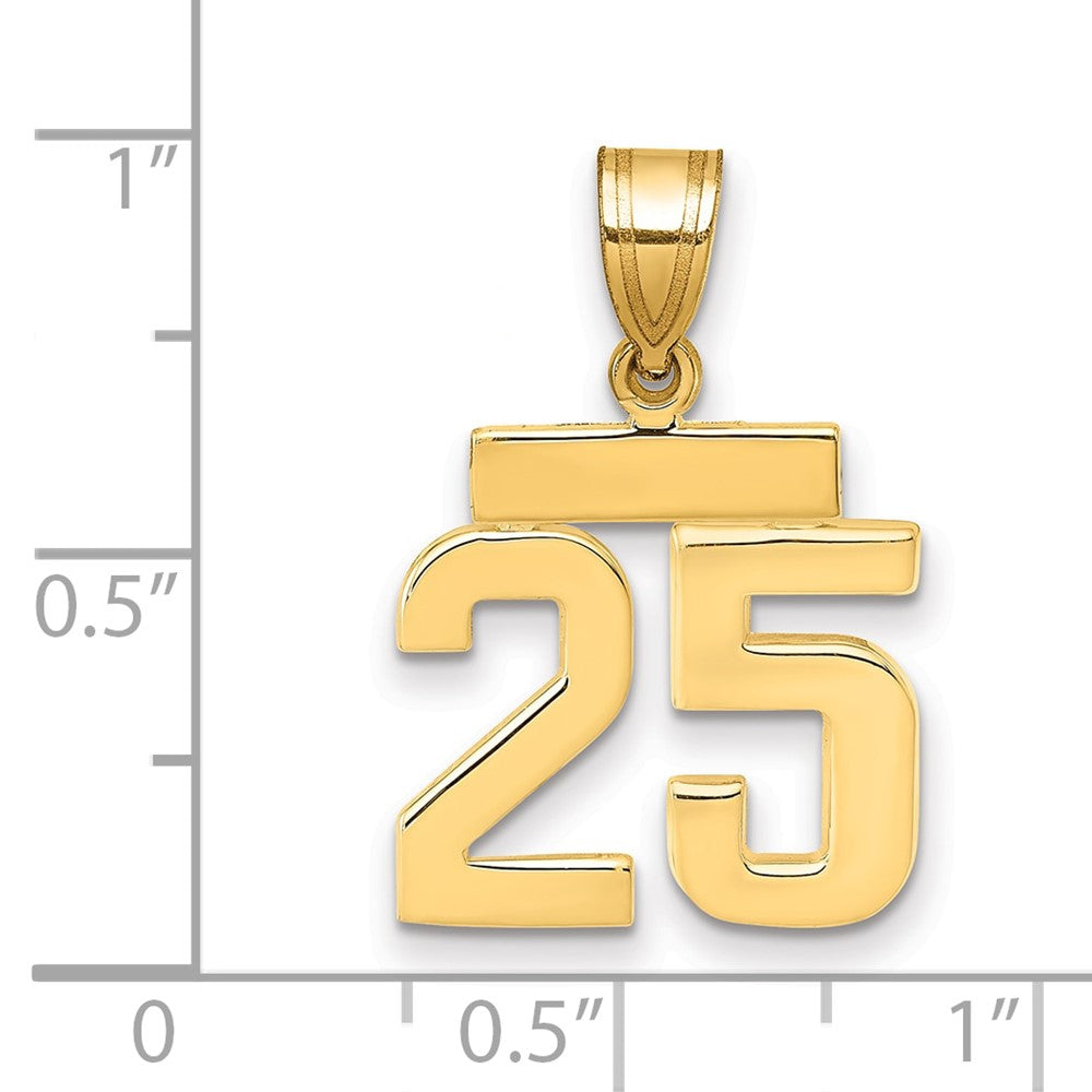 14k Yellow Gold Small Polished Number 25 Charm