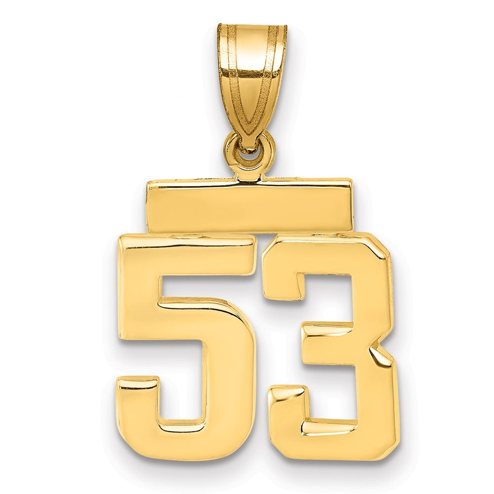 14k Small Polished Number 53 Charm