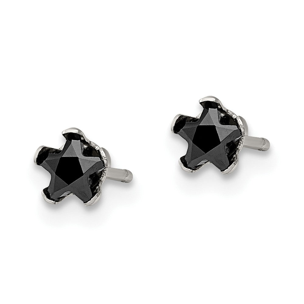 Chisel Stainless Steel Polished 4mm Black Star CZ Stud Post Earrings
