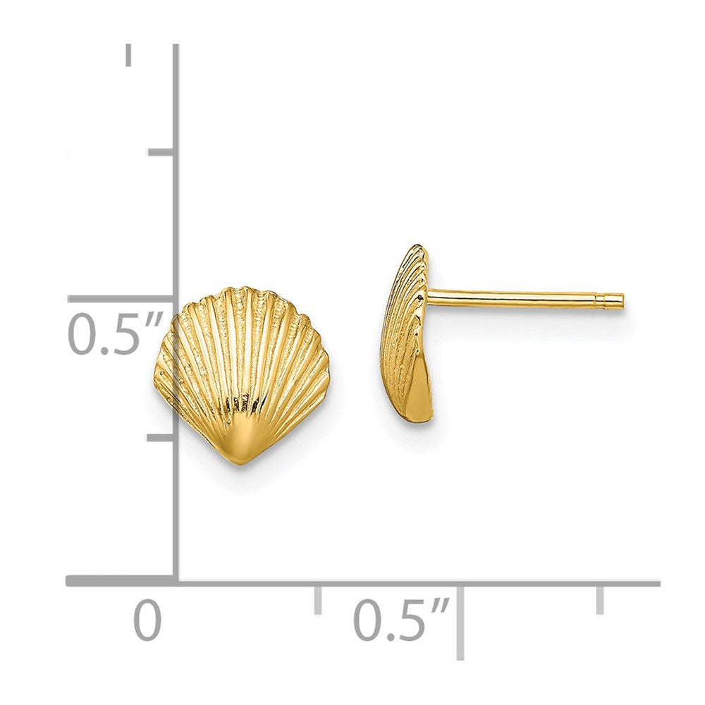 14K Scallop Shell Post Earrings