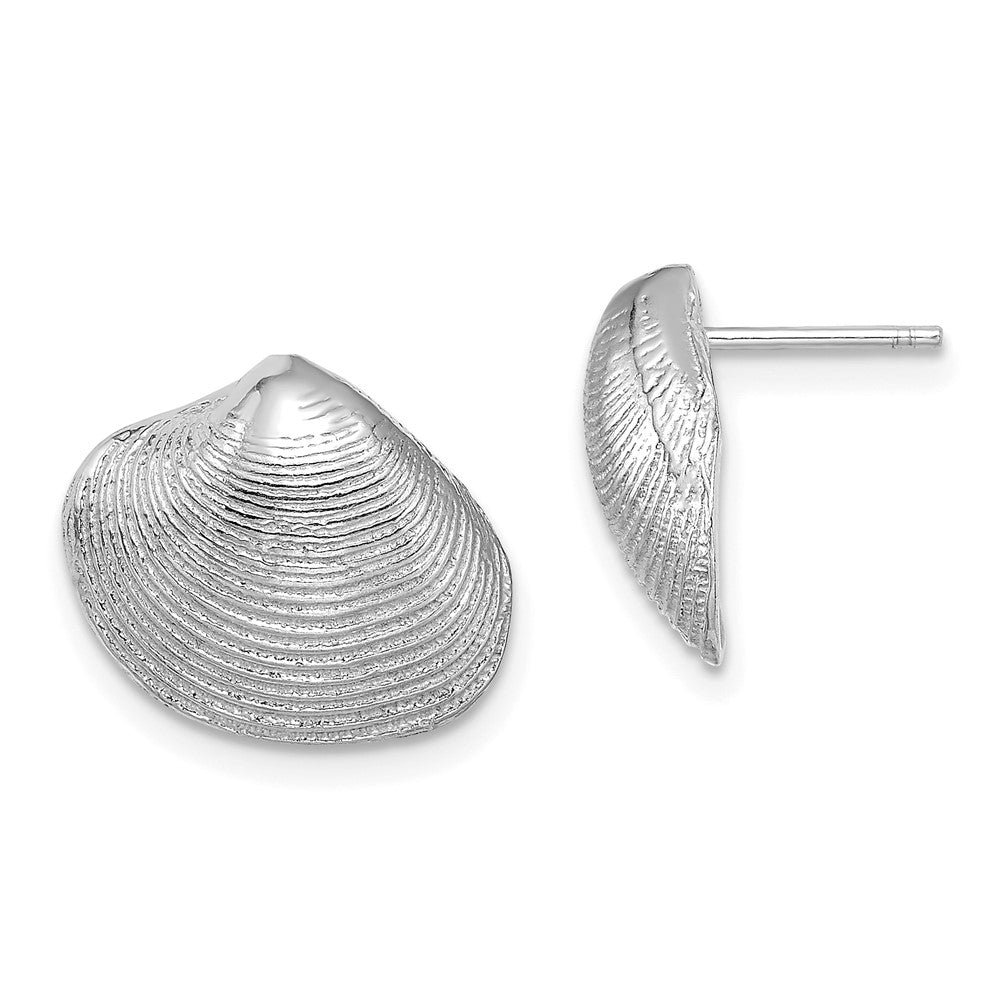 14k White Gold Clam Shell Post Earrings