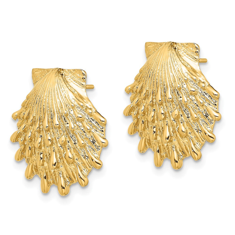 14K Lion's Paw Shell Post Earrings